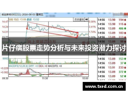 片仔癀股票走势分析与未来投资潜力探讨